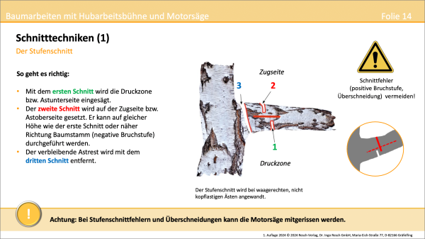 Baumarbeiten mit Hubarbeitsbühne und Motorsäge